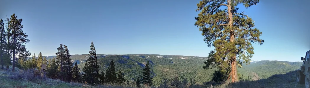 0417210737-PANO.webp