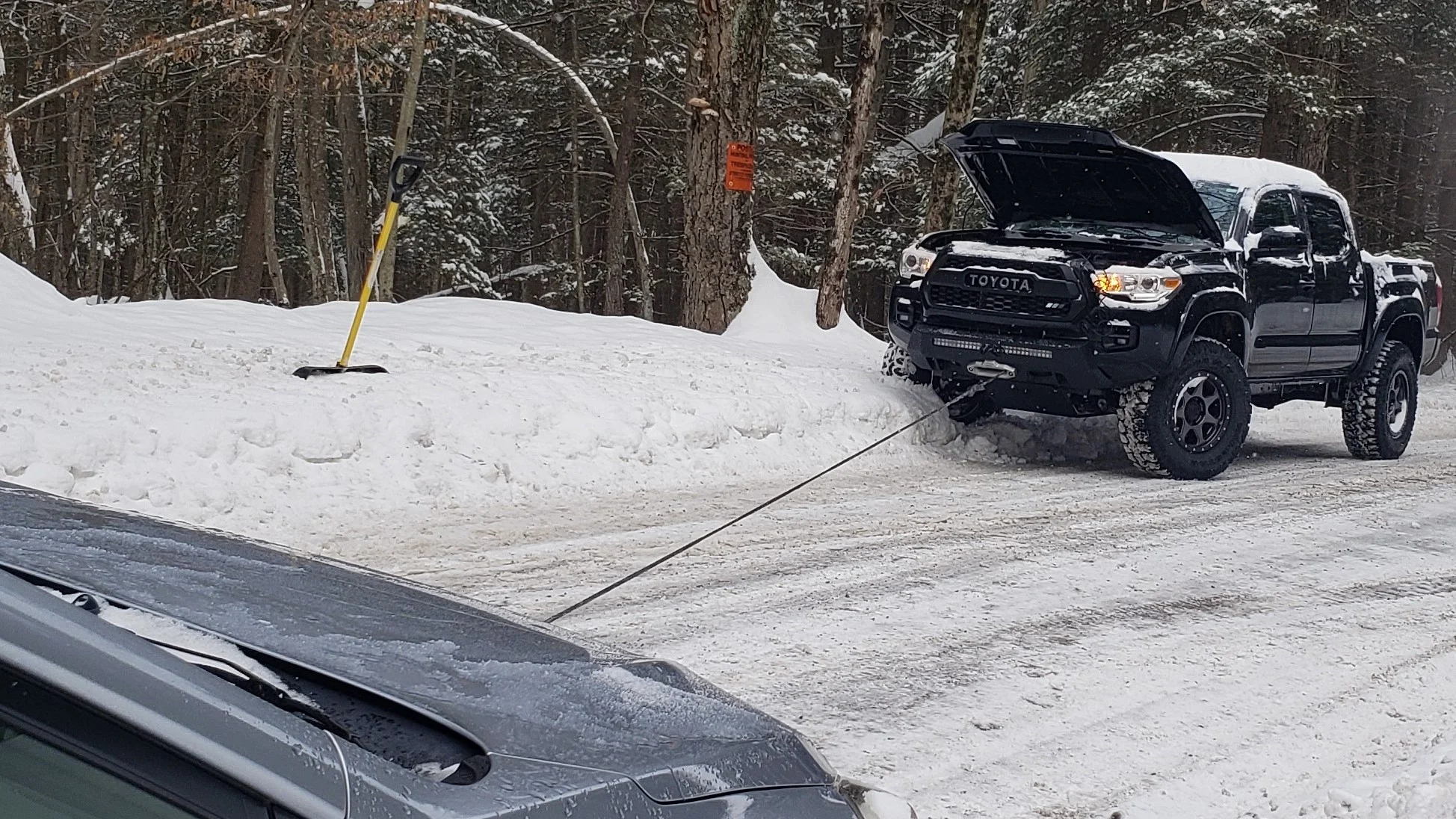 20210211_094706 (3).jpg