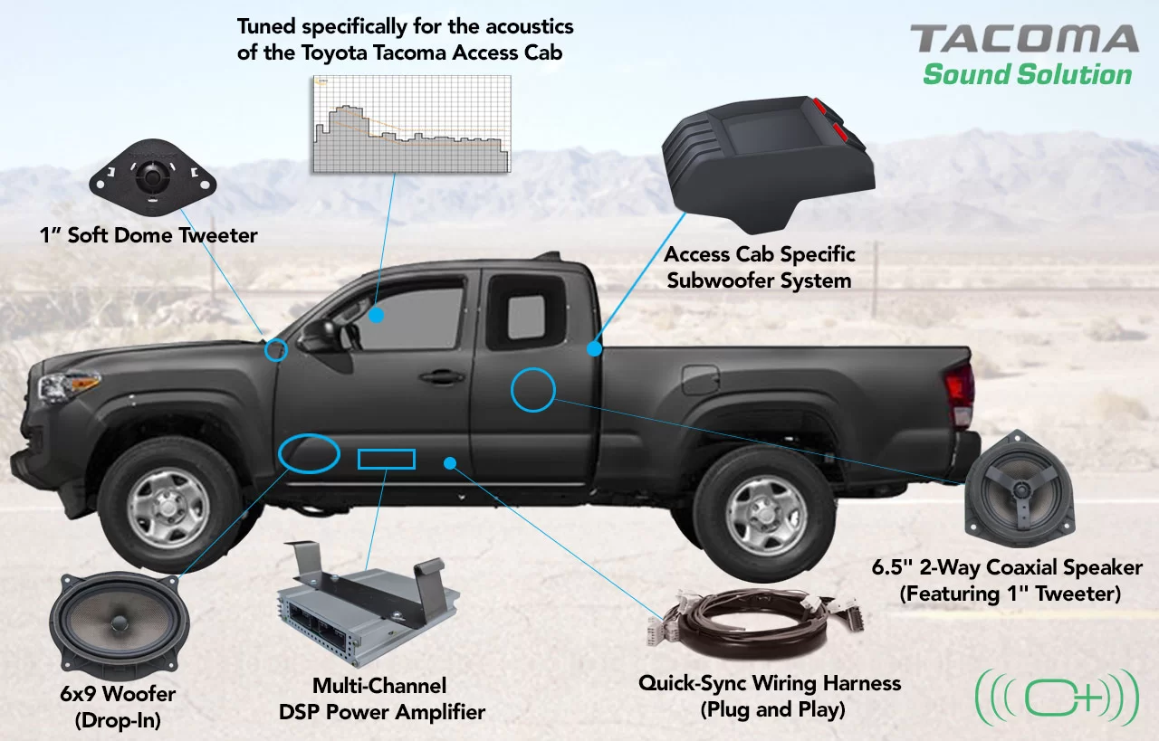 TAC_anatomy_50Q_V1.jpg