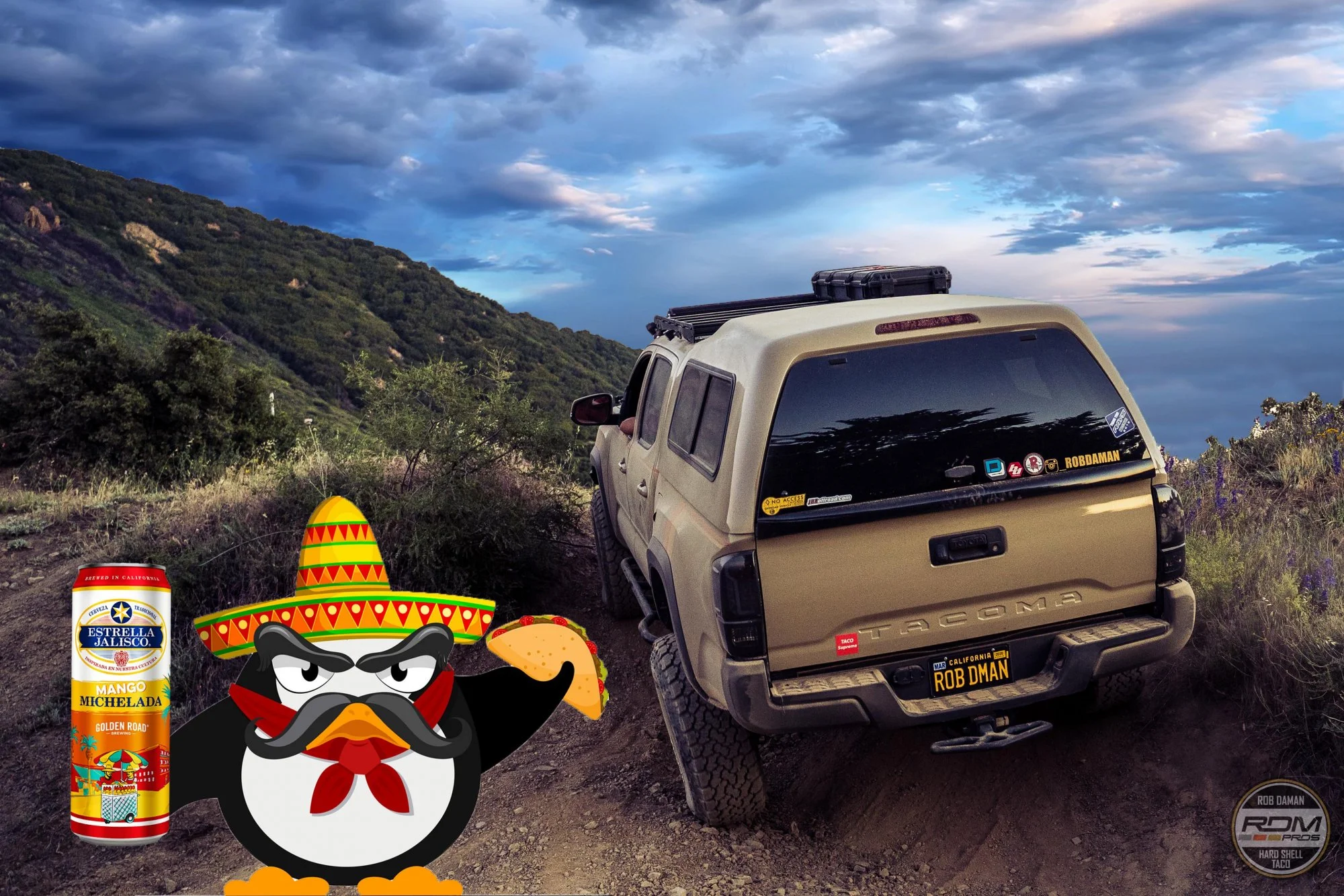 taco penguin_edited-3.jpg