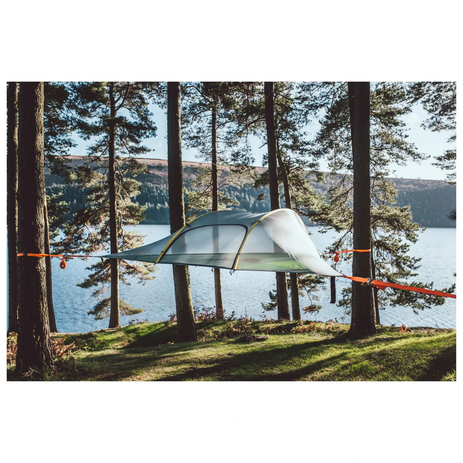 Stingray tentsile outlet