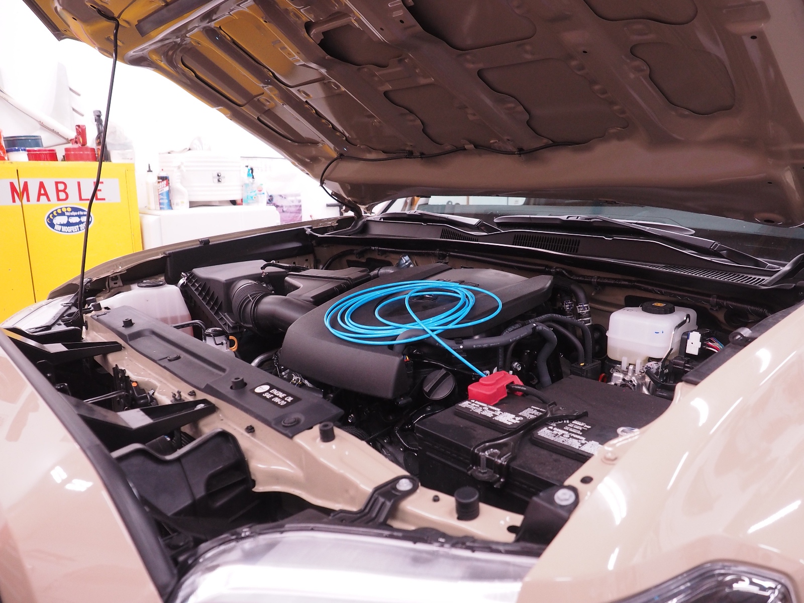 P1270603-X3.jpg