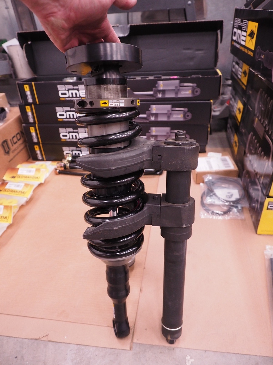 P1130295-X3.jpg