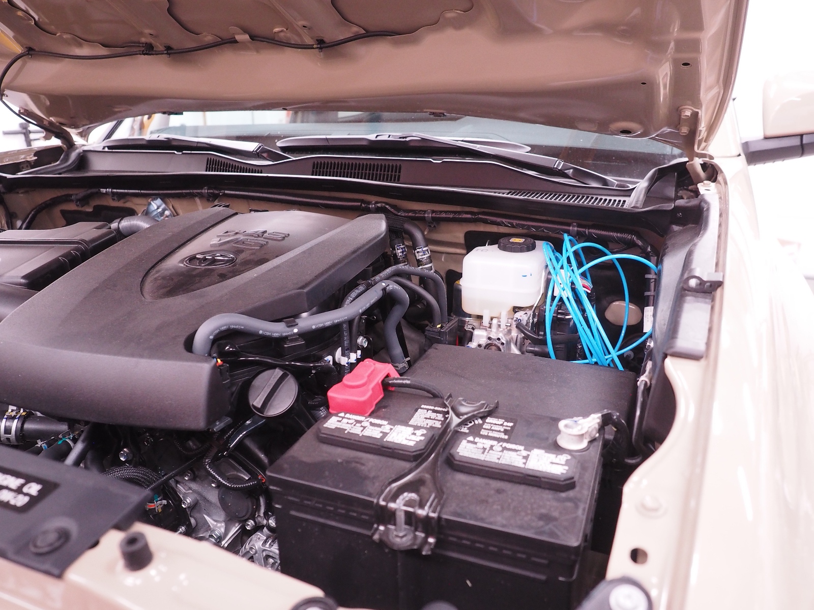 P1270621-X3.jpg