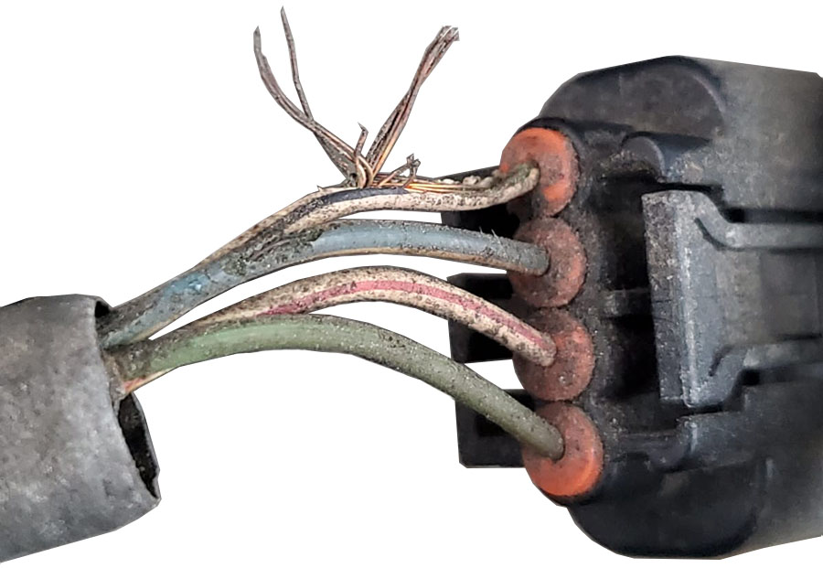 ignition-coil-wire-rodent-damage.jpg